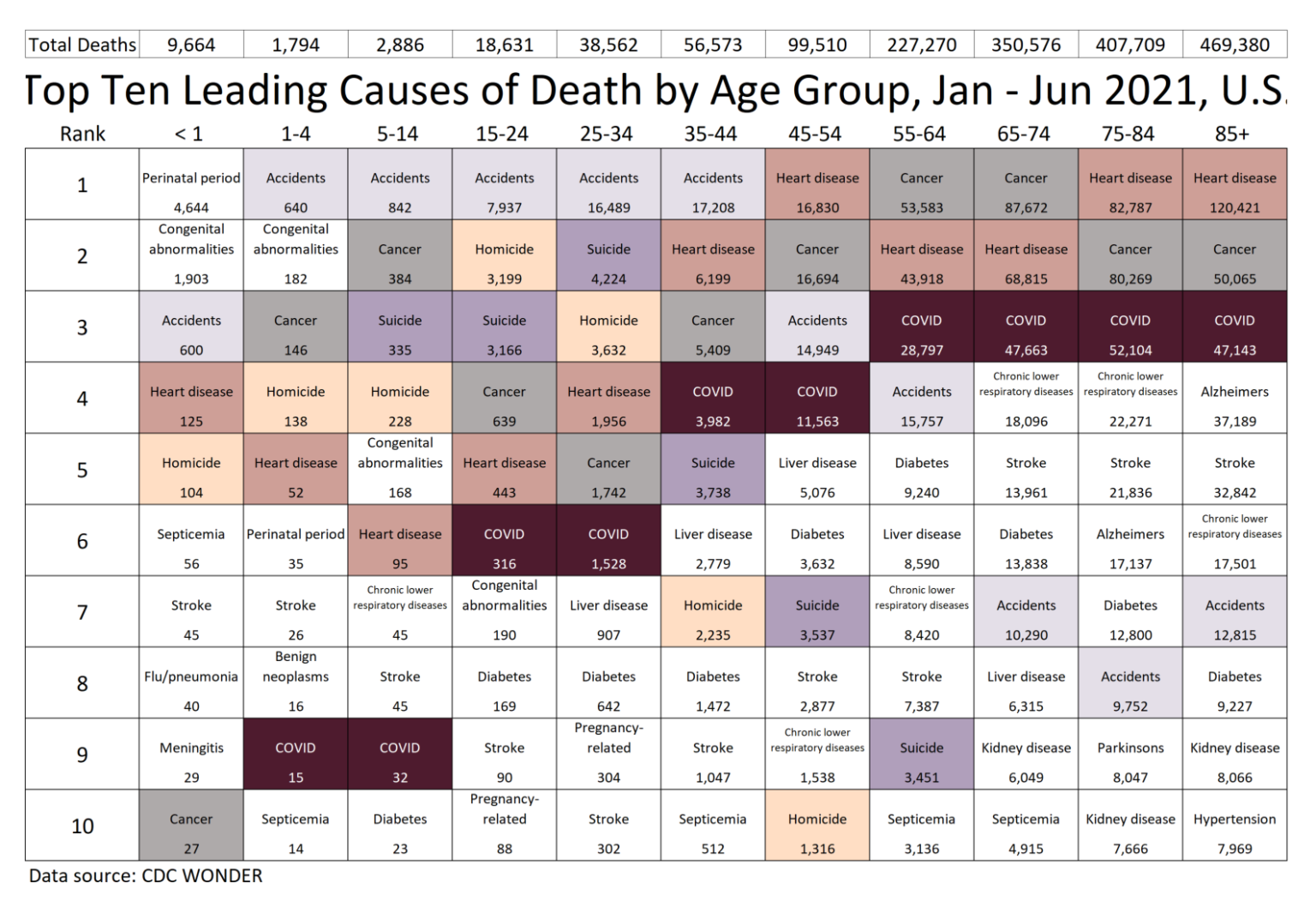 2021 U.S. JanuaryJune CauseofDeath Ranking Table Actuarial News