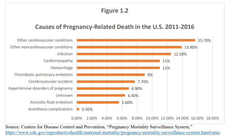 Racial Disparities In Maternal Health – Actuarial News