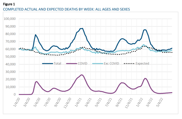 2020 2021 Excess Deaths In The Us General Population By Age And Sex Actuarial News 